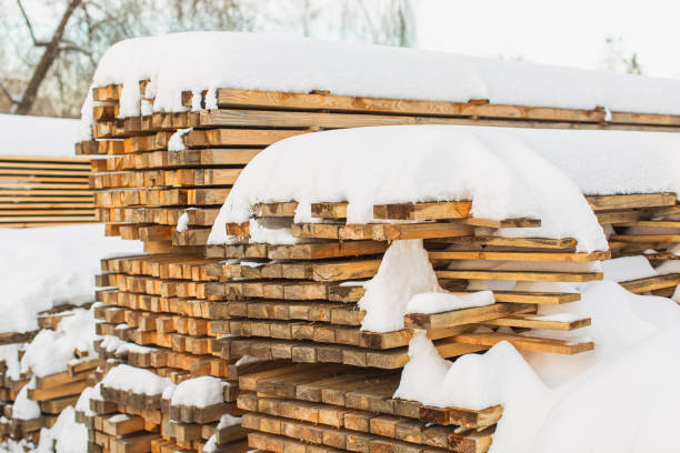 Timber