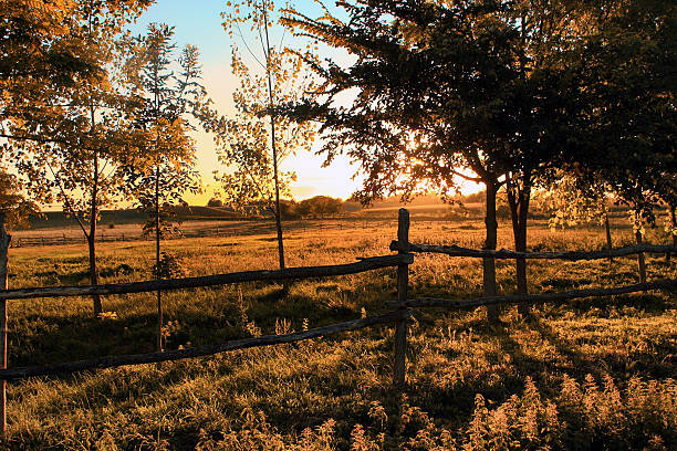 istock Farmland in sunset 183566637