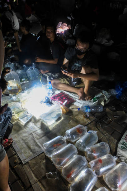 indulgence communautaire : transactions crépusculaires au marché nocturne aux poissons de jatinegara - dealings photos et images de collection