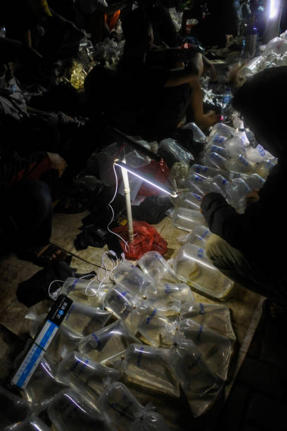 indulgence communautaire : transactions crépusculaires au marché nocturne aux poissons de jatinegara - dealings photos et images de collection