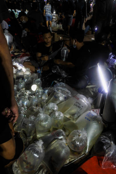 indulgence communautaire : transactions crépusculaires au marché nocturne aux poissons de jatinegara - dealings photos et images de collection