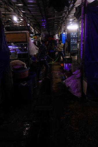 As the azure hue of the Indonesian sky shifts into a tapestry of twilight, a vibrant scene emerges at the Jatinegara night market. Here, an intimate circle forms—a fusion of silhouettes against the soft backdrop of market life. This image captures a spontaneous congregation of people, grounded upon the earth, bathed in the warm, dim light that trickles down from strings of bulbs above. They gather not merely for transactions but for the camaraderie that thrives amid the exotic aquatic bazaar. Their postures relaxed, their attention tuned to the freshness of the day's catch, presented in woven baskets and makeshift stands, this group embodies the spirit of the market: collective, authentic, alive. Beyond a mere marketplace, this photograph encapsulates a community's heart, pulsing in harmony with the nocturnal rhythm of Jatinegara