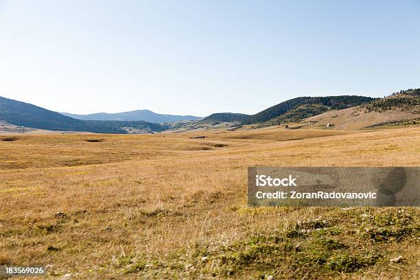 Vale - Fotografias de stock e mais imagens de Ao Ar Livre - Ao Ar Livre, Beleza natural, Cena de tranquilidade