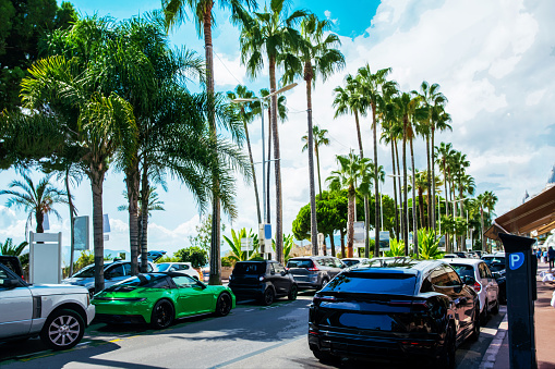 Amazing Croisette   with tall palm trees in  Cannes Cars in parking lots (include sportive and luxury cars). Fantastic recreaion on French Riviera in Cannes