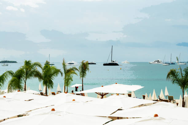 istock Fantastic  panorama of Cannes bay from Croisette 1835700119
