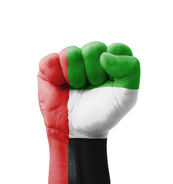 istock Fist of UAE (United Arab Emirates) flag painted 183570520