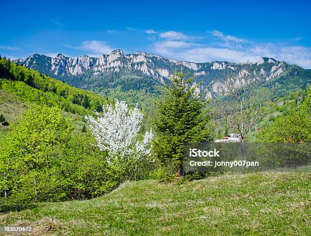 Paisagem De Primavera - Fotografias de stock e mais imagens de Ao Ar Livre - Ao Ar Livre, Beleza natural, Cena Não Urbana