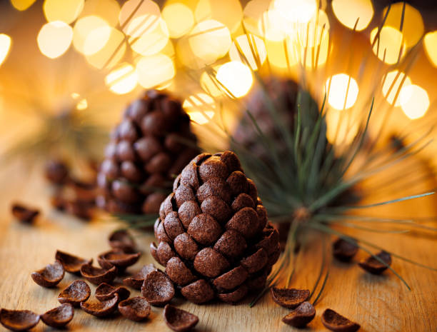 istock Chocolate pine cones made with chocolate cereal, focus on the pine cone in the center. 1835709198
