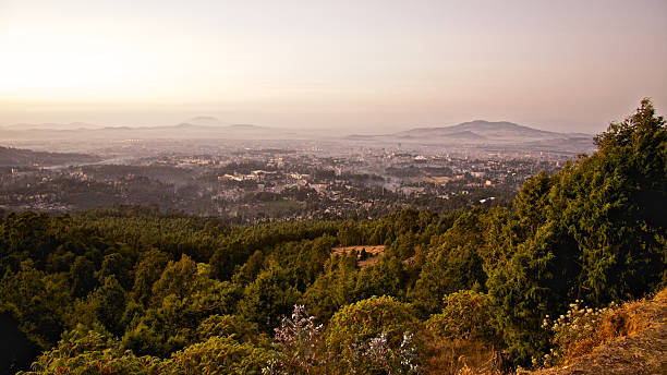 Addis Ababa, from Entoto Mountain A panoramic view of Addis Ababa from Entoto Mountain, some fogs covered the city at early hours in the morning, forest at the front, with clear sky. addis ababa ethiopia photos stock pictures, royalty-free photos & images