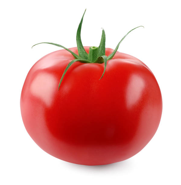 istock One red ripe tomato isolated on white 1835723299