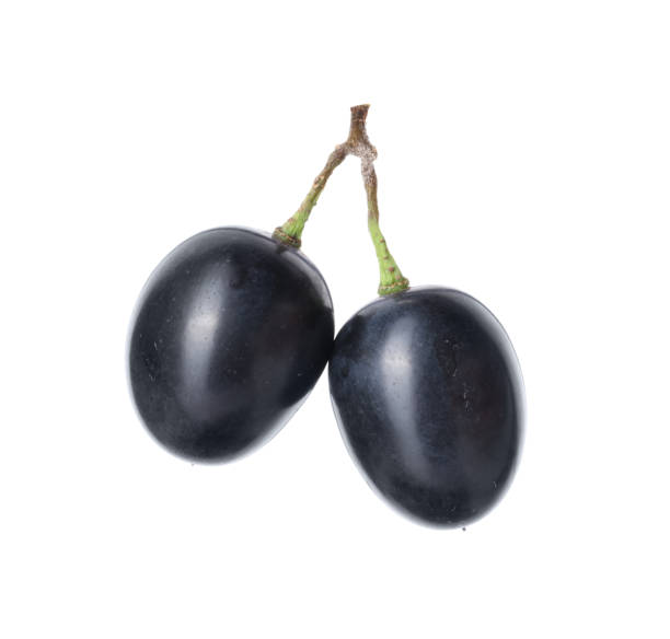 istock Two ripe dark blue grapes isolated on white 1835731531