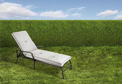 Chaise Lounge in a backyard with green grass and green hedge