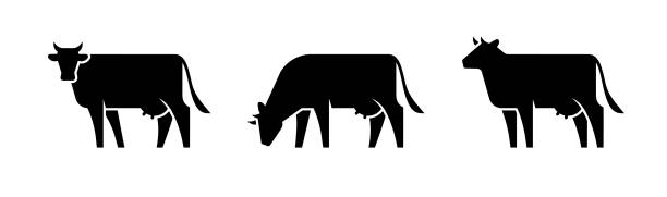 illustrations, cliparts, dessins animés et icônes de trois silhouettes de vaches. - vache