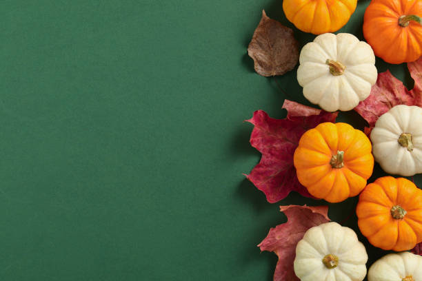 istock Happy Thanksgiving day. Flat lay composition with pumpkins on green background, space for text 1835741760