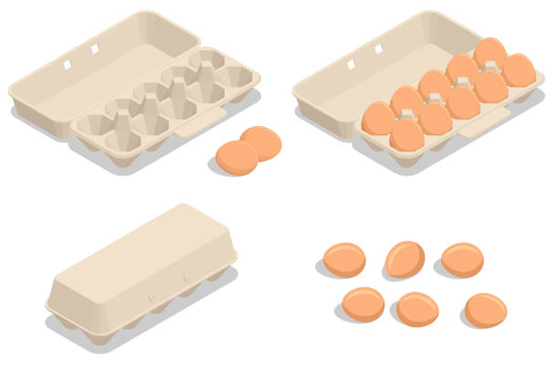等尺性鶏卵包装。背景に隔離された段ボール箱の中の卵。鶏卵は、タンパク質、脂肪、その他の栄養素の食事源として機能する人間の食事の主成分です。 - duck animal egg isolated bird点のイラスト素材／クリップアート素材／マンガ素材／アイコン素材