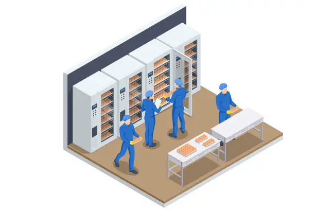 Vector illustration of Isometric Chicken Roost in Poultry Farm, Raising Chickens on a Poultry Farm. Farmers Controlling in Incubator.