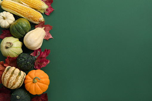 Happy Thanksgiving day. Flat lay composition with pumpkins on green background, space for text