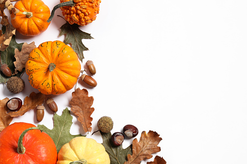 Happy Thanksgiving day. Flat lay composition with pumpkins on white background, space for text