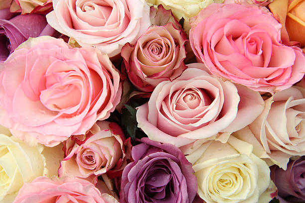 istock Bridal flowers in pastel shades 183574880