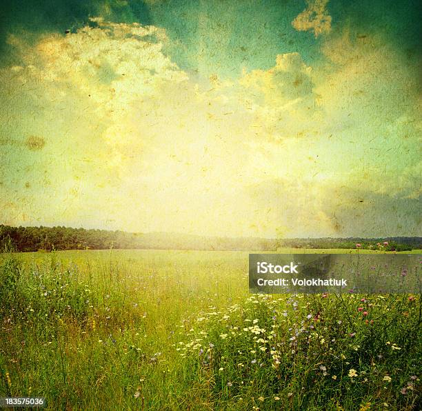 Landscape Stock Photo - Download Image Now - Dandelion, Farm, Grass