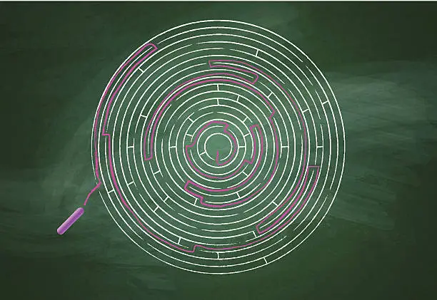Vector illustration of Intricate maze over chalkboard
