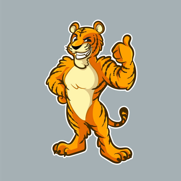 maskotka z kreskówki tygrys z dobrą ręką - tiger pointing vector cartoon stock illustrations
