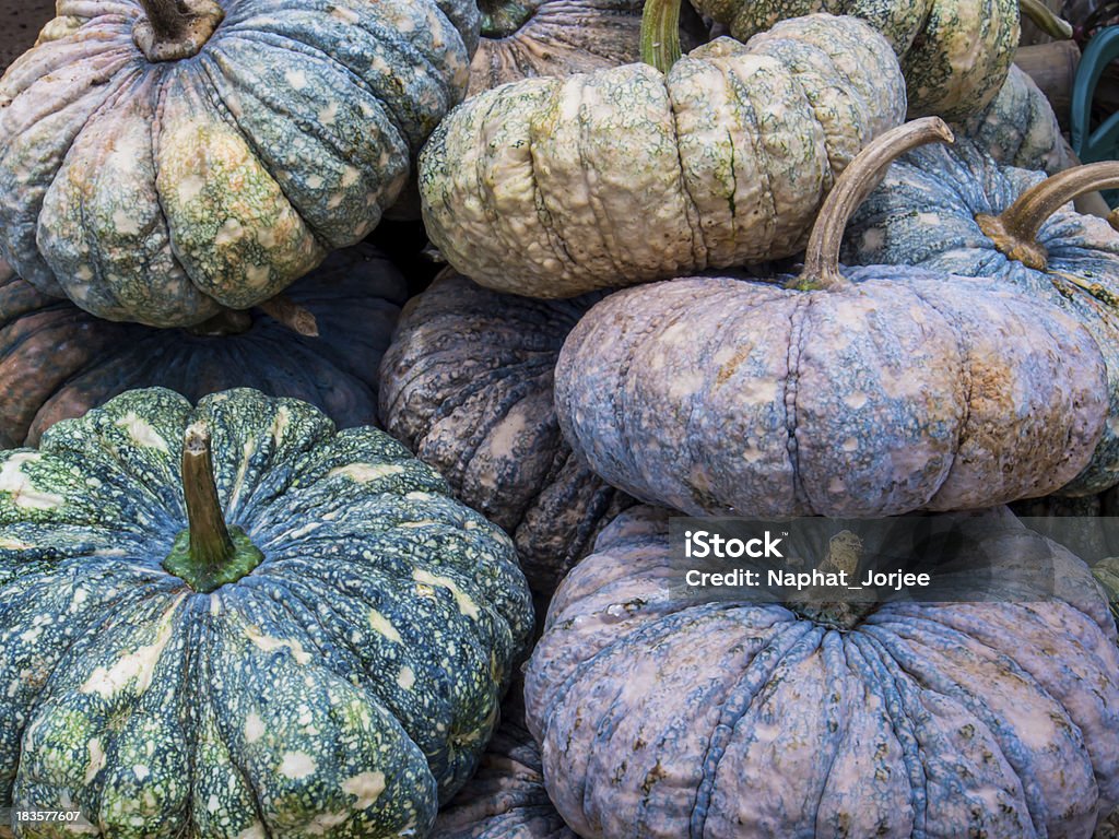 Herbstlichen Kürbisse und Herbst in Thailand - Lizenzfrei Agrarbetrieb Stock-Foto