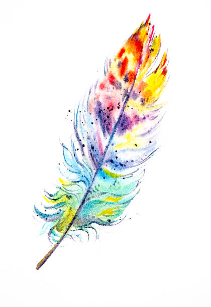 Rainbow Feather vector art illustration