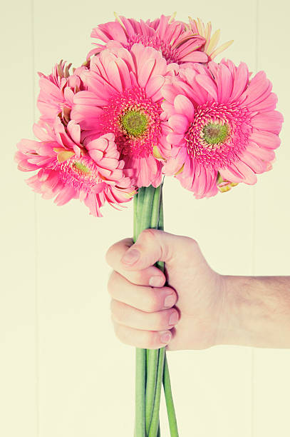 istock Hand Holding Bouquet of Pink Daisies 183578838
