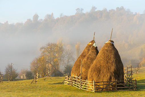Haystack in the morning light. Rural scene. Transilvania, Romania