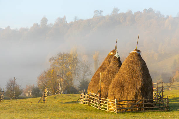 Haystack Haystack in the morning light. Rural scene. Transilvania, Romania carpathian mountain range stock pictures, royalty-free photos & images