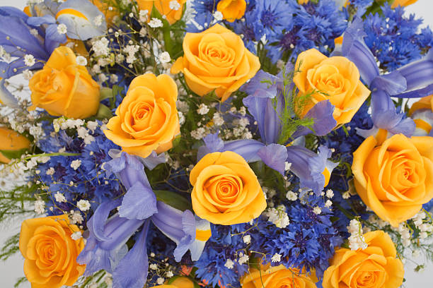 Rose bouquet toned image