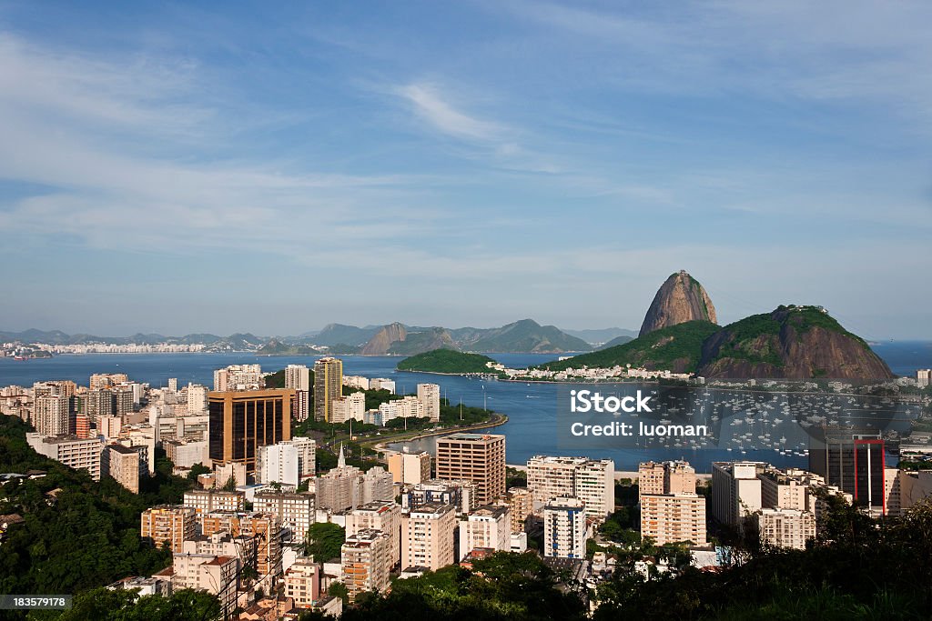 Pain de sucre à Rio de Janeiro - Photo de Arbre libre de droits