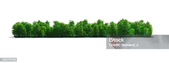 istock Isolated Forest Stripe 183579408