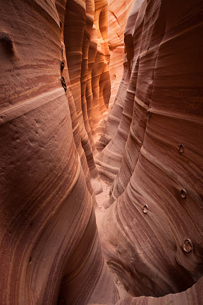 istock Zebra Slot Canyon Colors and Striated Walls 183579551