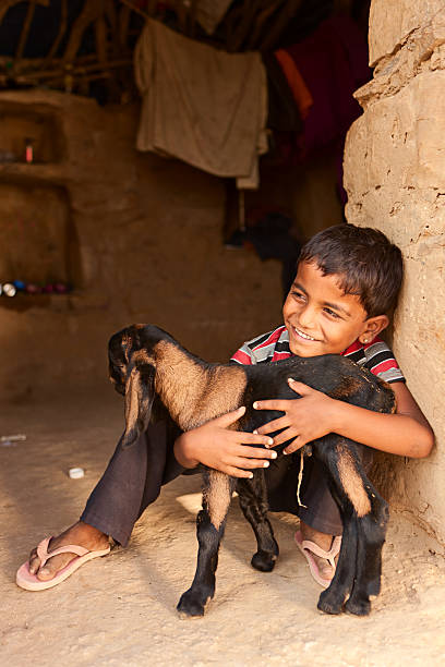 istock Young Indian boy holding a goat 183580656