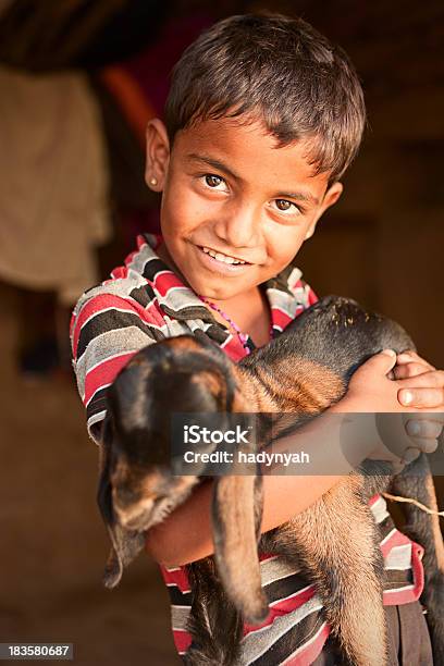 Junge Indische Junge Hält Eine Ziege Stockfoto und mehr Bilder von Jungen - Jungen, Ziege, Asiatische Kultur