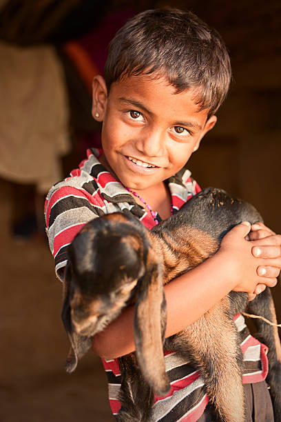 istock Young Indian boy holding a goat 183580687
