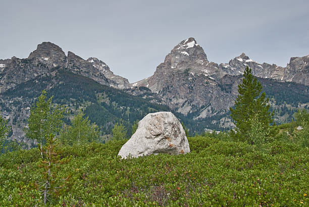 Glacial Erratic and the Teton Range Often overshadowed by Yellowstone National Park, its larger neighbor to the north, Jackson Hole and the Snake River Valley is a land of vast scenic beauty. What it lacks in geysers and hot springs, it more than makes up for in the rugged Teton Mountain Range. The Teton's many canyons lead to alpine meadows, cirques and towering peaks. It was this rugged range that became Wyoming's second national park in 1929. In 1950 the park boundaries were expanded to include much of the Snake River Valley. This forest meadow and the Teton Range was photographed from the Bradley and Taggart Lakes Trail in Grand Teton National Park, Wyoming, USA. jeff goulden grand teton national park stock pictures, royalty-free photos & images