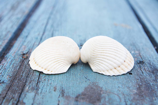 istock Memories from the sea. 183580959