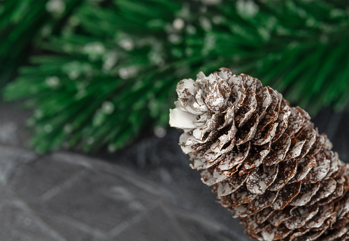 New Year's composition with pine cone and green branches