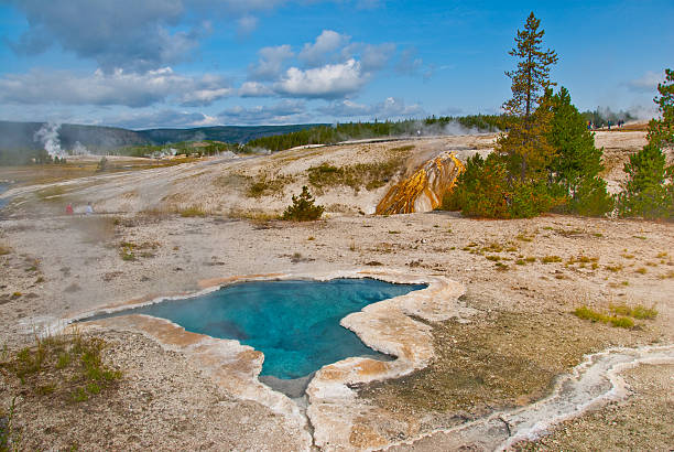 Blue Star Spring Blue Star Spring is a thermal feature shaped like a pretty blue star. The spring is usually a gently overflowing pool but will occasional erupt. Blue Star Spring is located near the Firehole River in the Old Faithful area of Yellowstone National Park, Wyoming, USA. jeff goulden yellowstone national park stock pictures, royalty-free photos & images