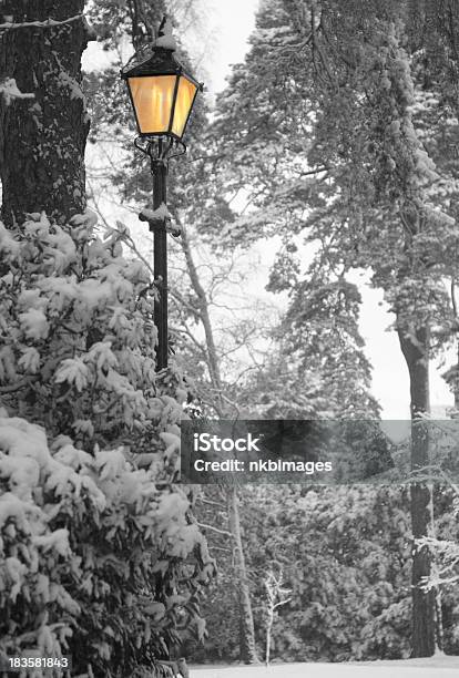 Narnia Golden Lampost In The Winter Woods Stock Photo - Download Image Now - Street Light, London - England, Snow