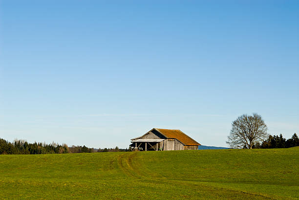 istock Lonely farmhouse on a green field 183581956