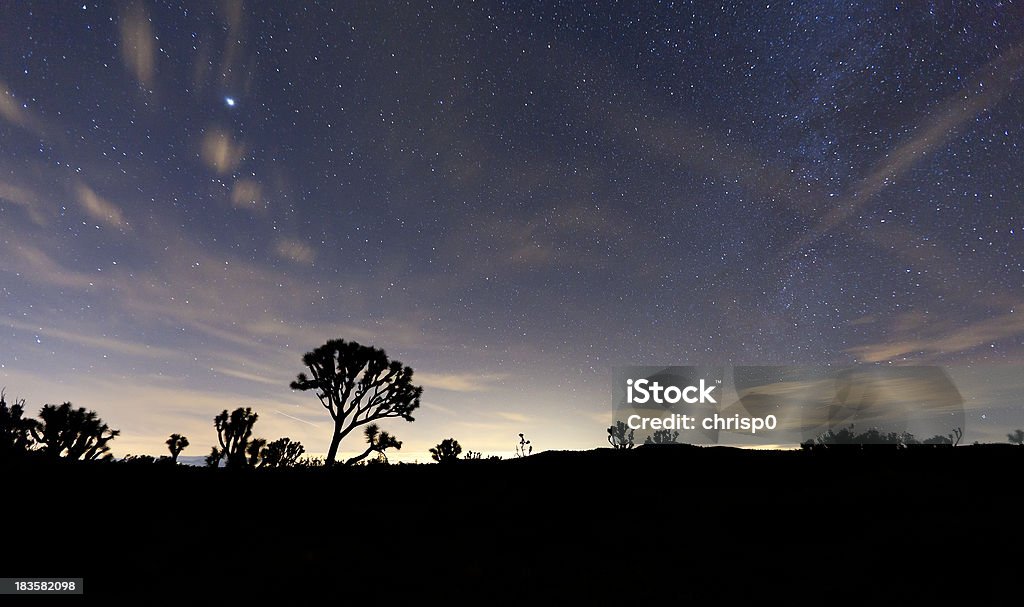 夜は、ジョシュアツリー国立公園 - モハベ砂漠のロ��イヤリティフリーストックフォト