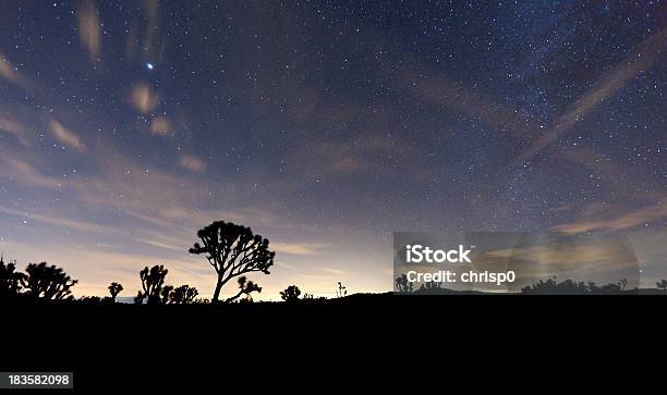 夜はジョシュアツリー国立公園 - モハベ砂漠のストックフォトや画像を多数ご用意 - モハベ砂漠, 夜, アメリカ合衆国