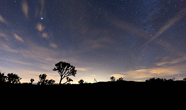 istock Night Sky at Joshua Tree National Park 183582098