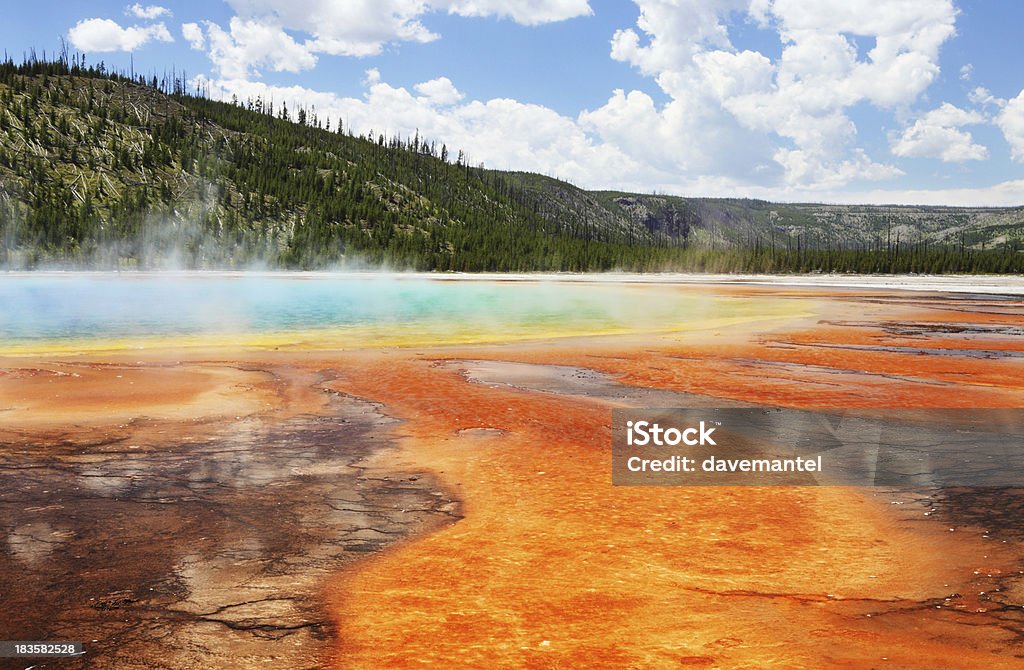 Wielka Sprężyna Pryzmatyczna - Zbiór zdjęć royalty-free (Park Narodowy Yellowstone)
