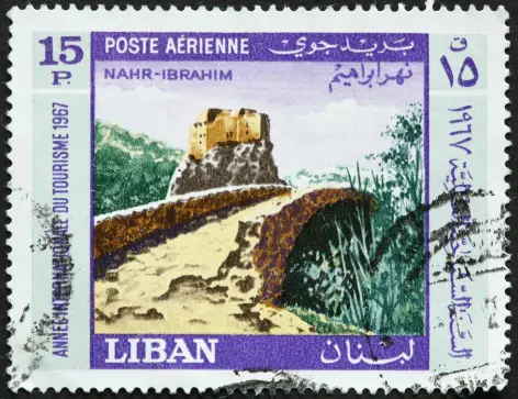 Nahr Ibrahim Fleurs Rouges Nahr Ibrahim Photos | Télécharger des images gratuites sur Unsplash
