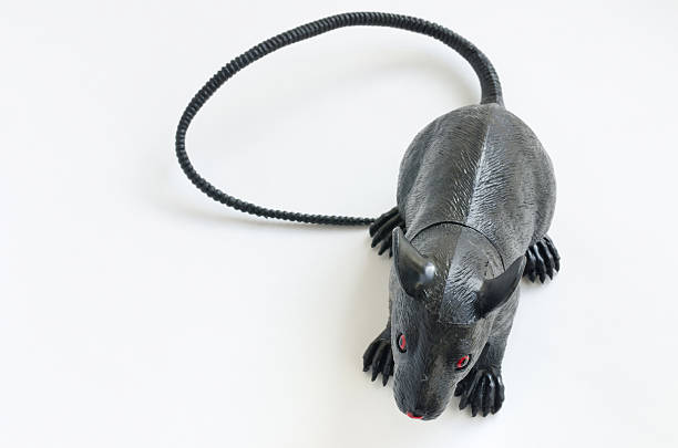 Fake Plastic Rat Rodent with Red Eyes.  Scary looking black plastic rodent with long tail.  Selective focus on red eyes.  Captured as a 14-bit Raw file. Edited in ProPhoto RGB color space.